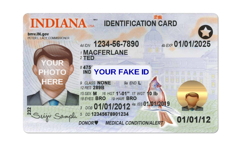 fake indiana id card