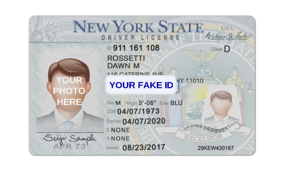 Fake Driver License For Roblox – Your Fake ID Templates