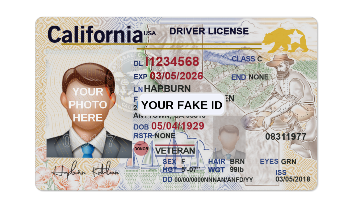 Fake ID Templates Best Fake ID Templates