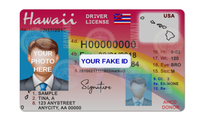 Hawaii Fake ID Template