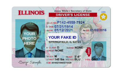 Illinois Fake ID Template