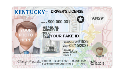 Kentucky Fake ID Template