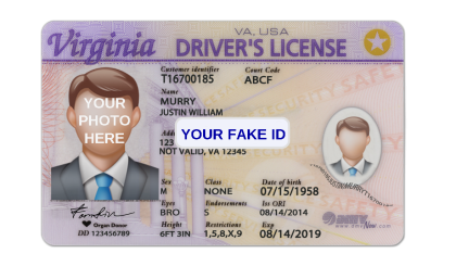Virginia Fake ID Template